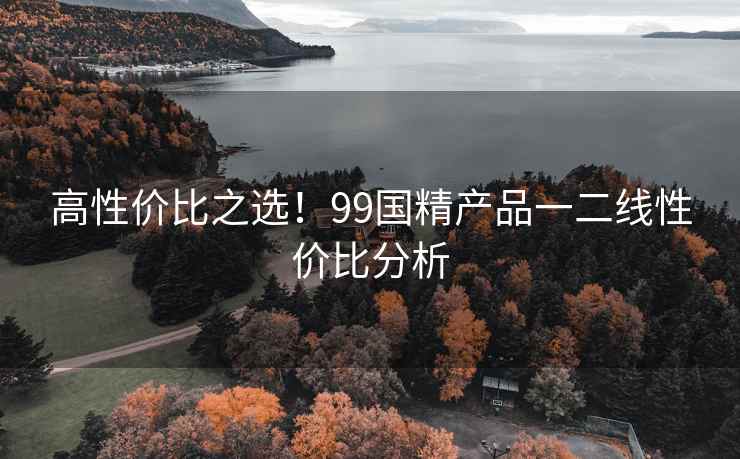 高性价比之选！99国精产品一二线性价比分析