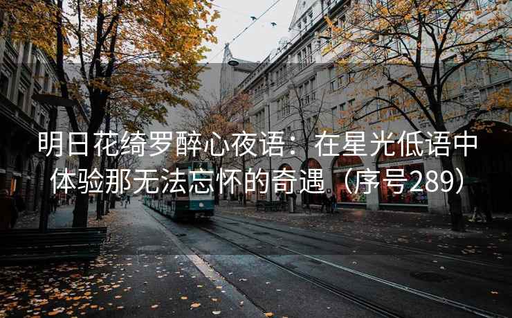 明日花绮罗醉心夜语：在星光低语中体验那无法忘怀的奇遇（序号289）