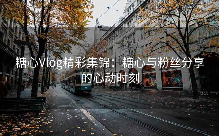 糖心Vlog精彩集锦：糖心与粉丝分享的心动时刻