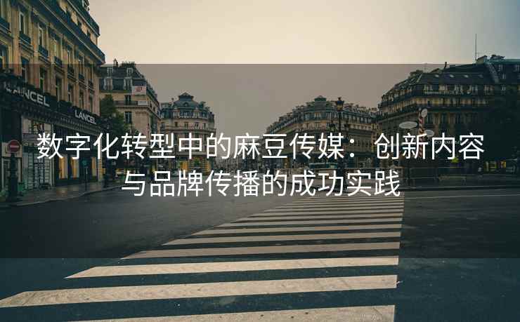 数字化转型中的麻豆传媒：创新内容与品牌传播的成功实践