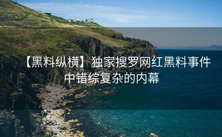 【黑料纵横】独家搜罗网红黑料事件中错综复杂的内幕